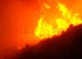 incendio-forestal-8
