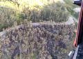 incendio-vistas-aereas-helicoptero-ume-7