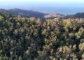incendio-vistas-aereas-helicoptero-ume-8