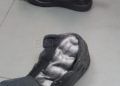 interior-zapatillas-hachis-2