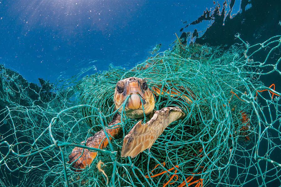 oceanos-plasticos-microplasticos-3