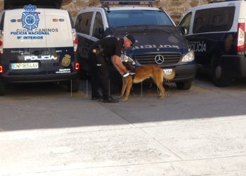 perros-policia
