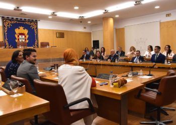 pleno-asamblea