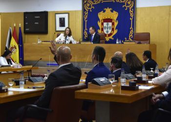pleno-asamblea
