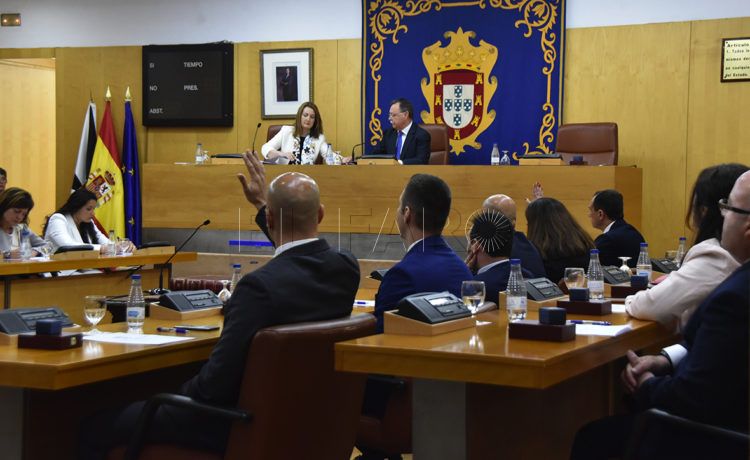 pleno-asamblea