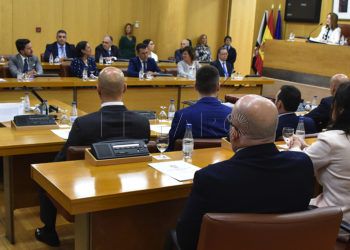 pleno-constitutivo