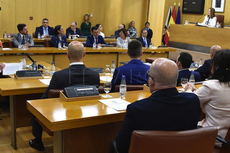 pleno-constitutivo