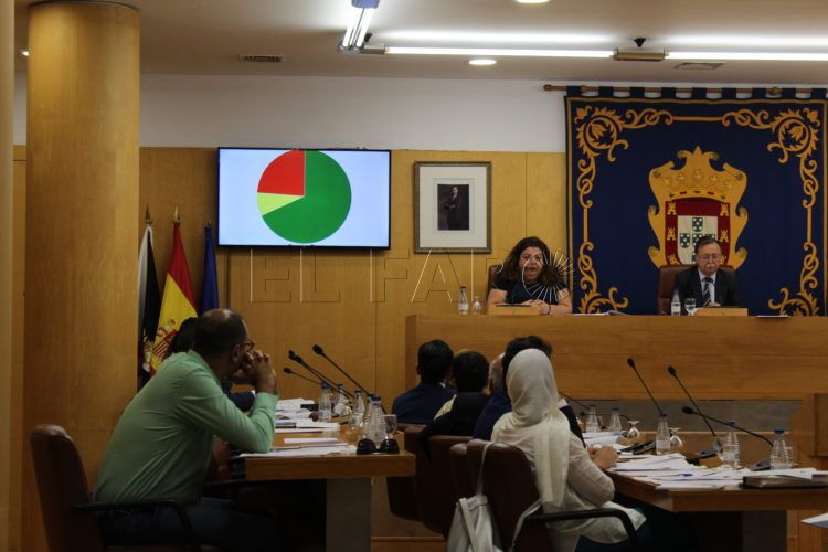 voto-telematico-pleno