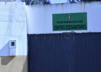zoosanitario