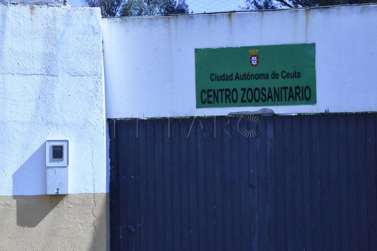zoosanitario