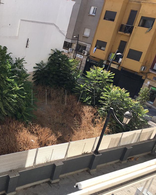 maleza-calle-jaudenes
