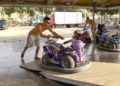 Recogida de instalaciones de la Feria de Ceuta 2019