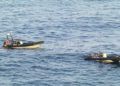 OKoperacion-guardia-civil-narco-sarchal-15