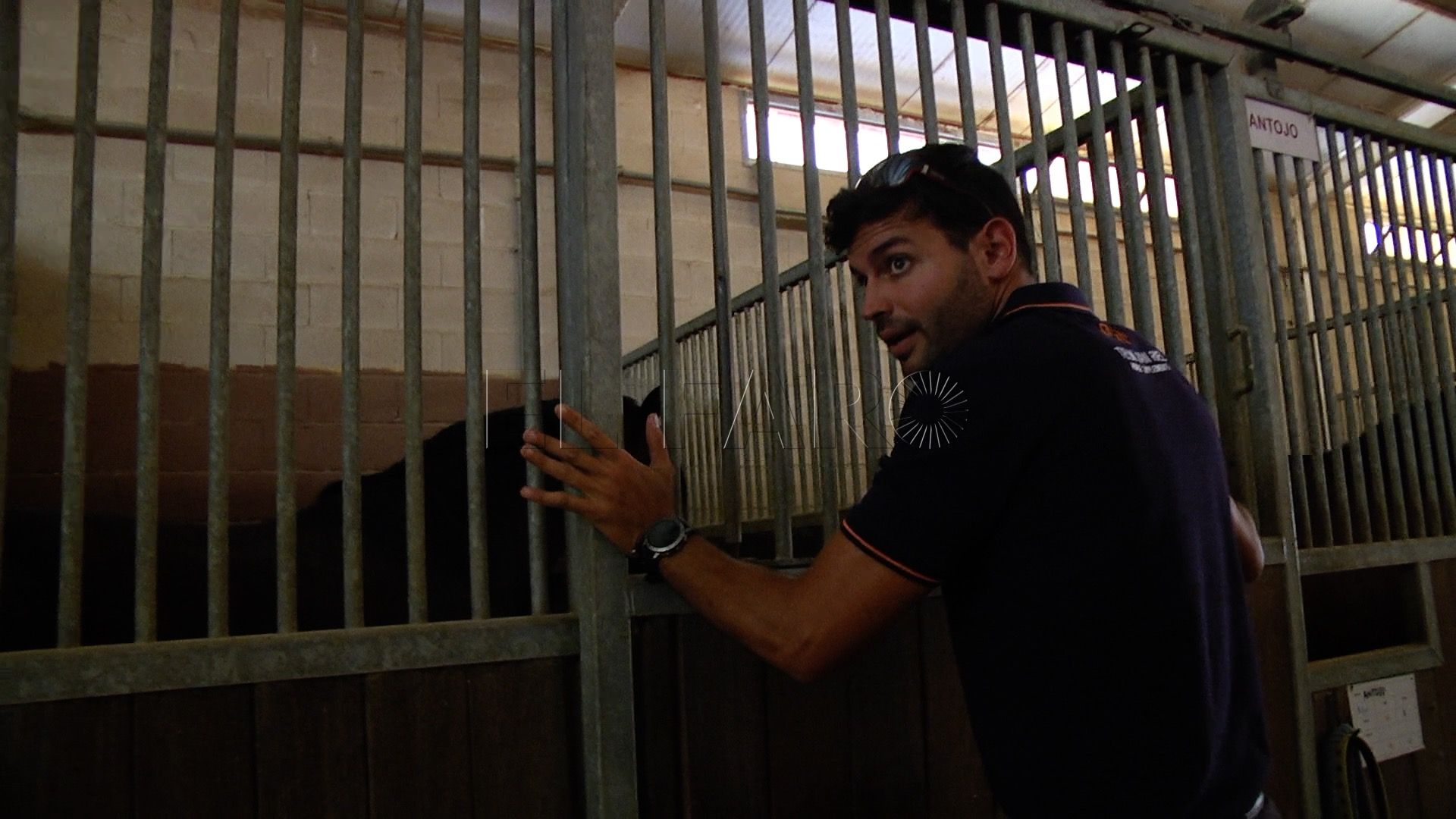 jorge-campos-centro-ecuestre-1