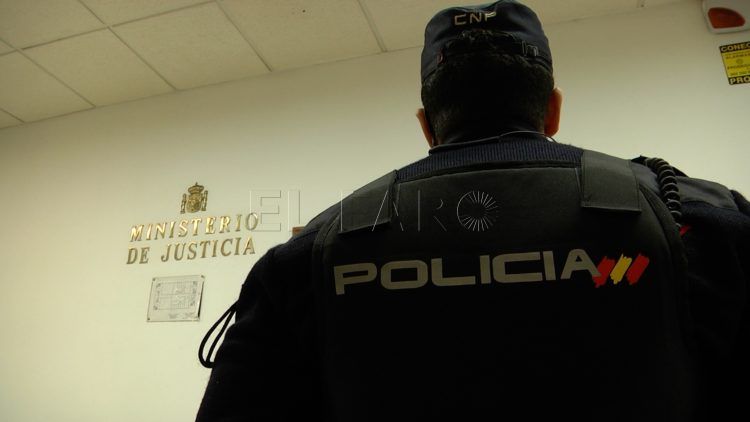 juicio-caniche