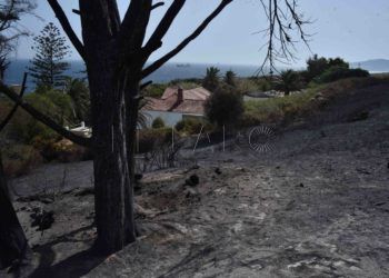 Tras la huella del fuego