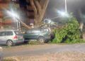 arbol-caido-coche-avenida-africa