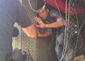 captura-operacion-feriante-6