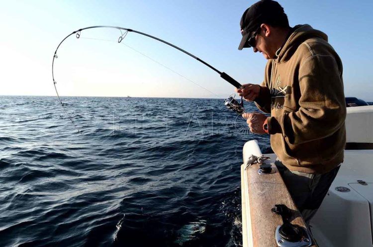 cas-campeonato-pesca