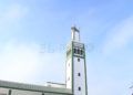 ciguenas-sidi-embarek-1
