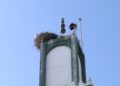 ciguenas-sidi-embarek-13
