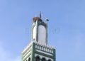 ciguenas-sidi-embarek-2