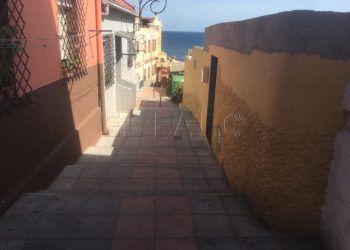 fuente-caballo-2