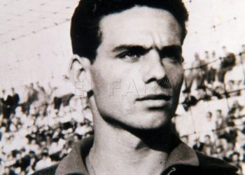 guillermo-febrer