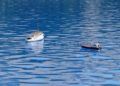 modelismo-naval-barcos-ceuta-25