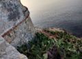 monte-incivismo-8