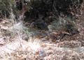 montes-sucio-ceuta-8
