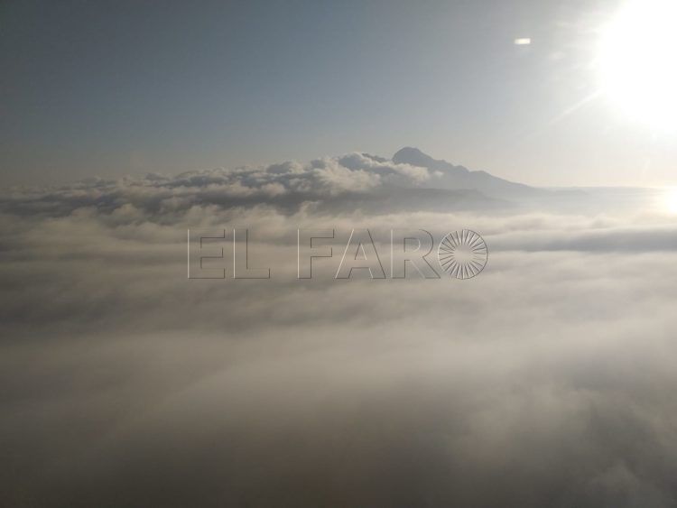 niebla