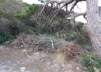 parque-san-amaro-2