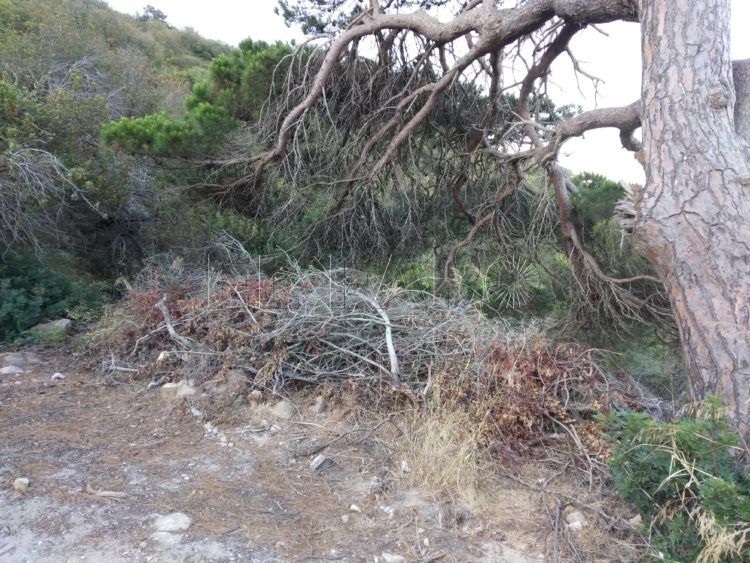 parque-san-amaro-2