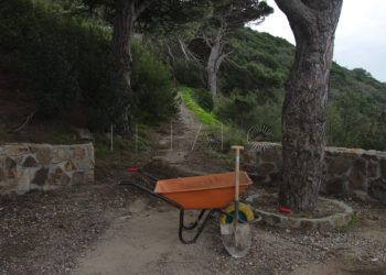 parque-san-amaro