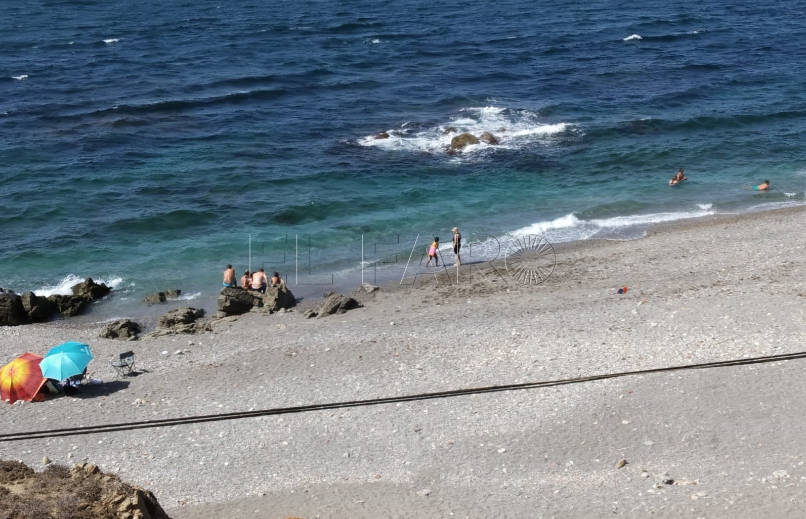 playa-cria-delfin