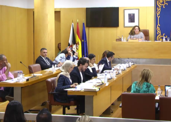 pleno-extraordinario-asamblea-9