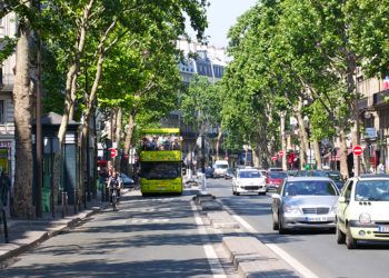 saint-germain