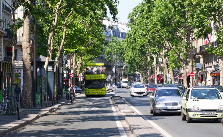 saint-germain