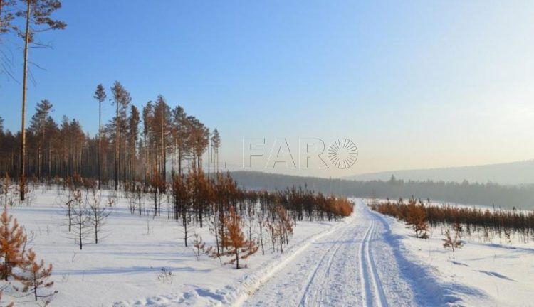 siberia