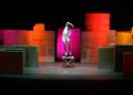 ludo-circus-show