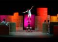 ludo-circus-show