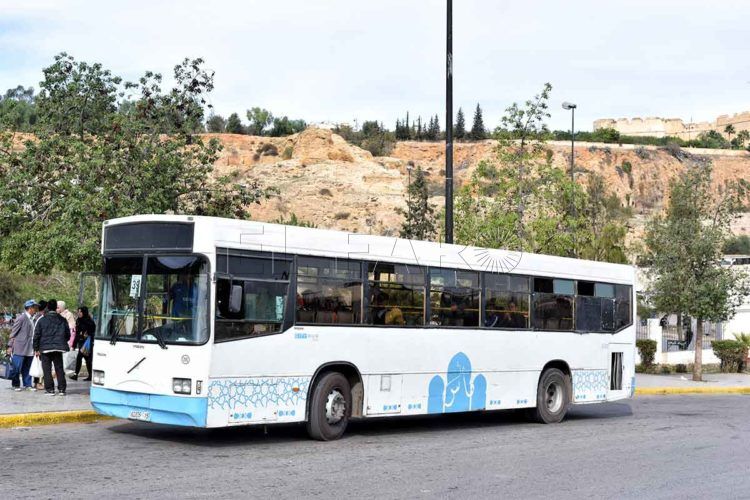 bus-marruecos