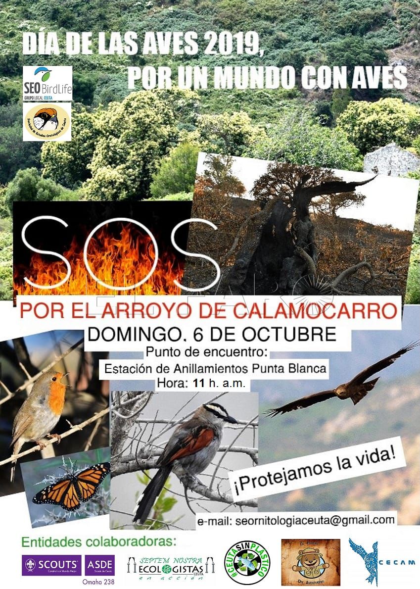 cartel-dia-aves-seo-ok