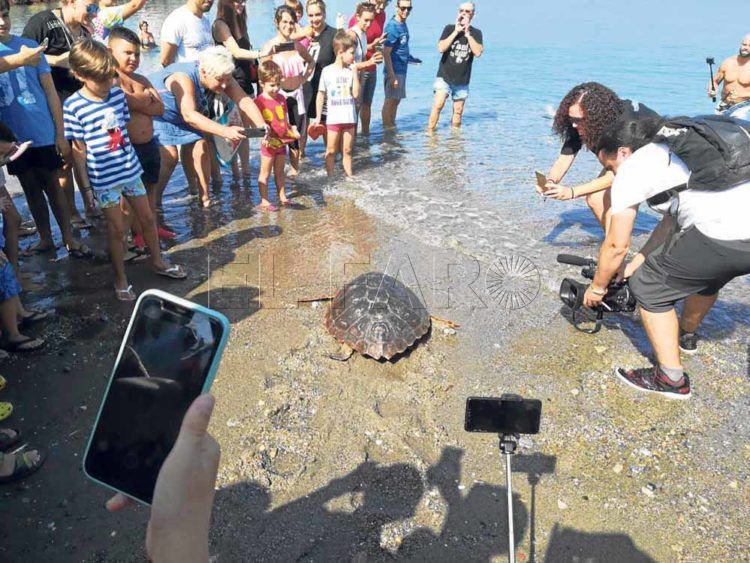 cecam-decima-tortuga-temporada-1