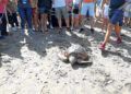 cecam-decima-tortuga-temporada-2