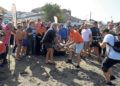 cecam-decima-tortuga-temporada-6