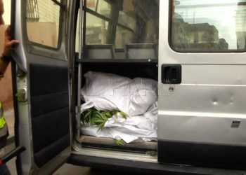 droga-plantacion-marihuana-5