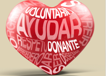 gran-recogida-alimentos-solidaridad-2