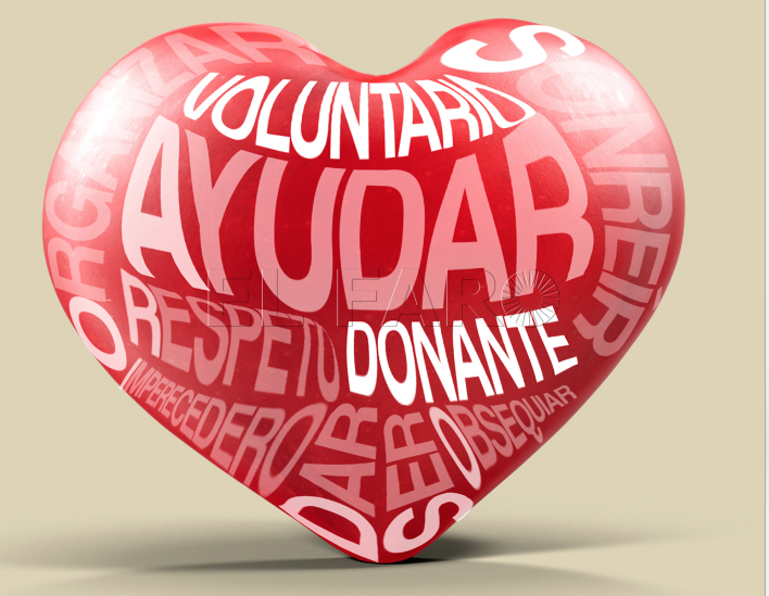 gran-recogida-alimentos-solidaridad-2